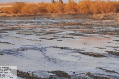 20211023_174656-Copy