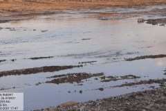 20211023_174730-Copy