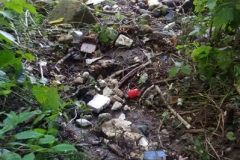 deseurile-transportate-de-parau-in-Lac_polistiren-expandat_extrudat