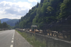 297542976_754963962247448_6277427602833657175_n-Copy