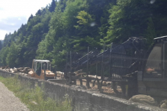 298362460_599238814912166_6672295569005734440_n-Copy