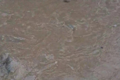 Captura-de-ecran-2026-02-28-113208