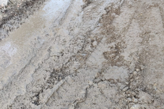 WhatsApp-Image-2026-02-27-at-10.25.35-2