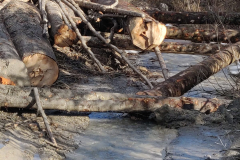 WhatsApp-Image-2026-02-27-at-10.25.36-1