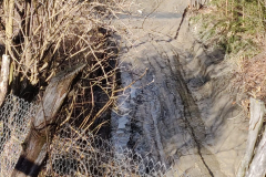 WhatsApp-Image-2026-02-27-at-10.25.36-3