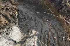 WhatsApp-Image-2026-02-27-at-10.25.36-4