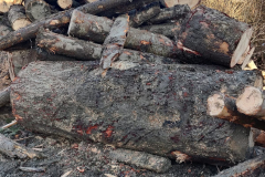 WhatsApp-Image-2026-02-27-at-10.25.36