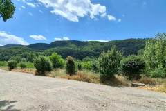 WhatsApp-Image-2025-07-02-at-21.04.22 WhatsApp-Image-2025-07-02-at-21.04.22