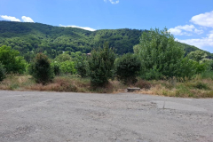 WhatsApp-Image-2025-07-02-at-21.04.23-2 WhatsApp-Image-2025-07-02-at-21.04.23-2