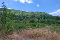 WhatsApp-Image-2025-07-02-at-21.04.24 WhatsApp-Image-2025-07-02-at-21.04.24