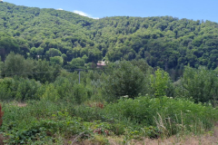 WhatsApp-Image-2025-07-02-at-21.04.25 WhatsApp-Image-2025-07-02-at-21.04.25