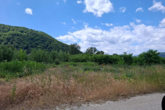 WhatsApp-Image-2025-07-02-at-21.04.26-1 WhatsApp-Image-2025-07-02-at-21.04.26-1