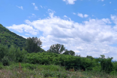 WhatsApp-Image-2025-07-02-at-21.04.27 WhatsApp-Image-2025-07-02-at-21.04.27