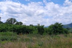 WhatsApp-Image-2025-07-02-at-21.04.28 WhatsApp-Image-2025-07-02-at-21.04.28