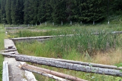 IMG_20170709_163938 (Copy)