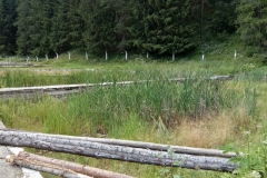 IMG_20170709_163941 (Copy)