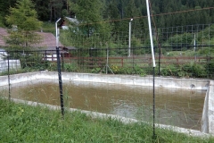 IMG_20170709_163946 (Copy)