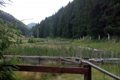 IMG_20170709_164749 (Copy)