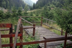 IMG_20170709_170612 (Copy)