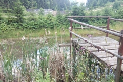 IMG_20170709_170630 (Copy)