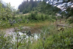 IMG_20170709_170645 (Copy)