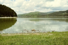 20190526_132903_Film2-Copy