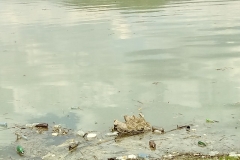 20190526_132917_Film2-Copy