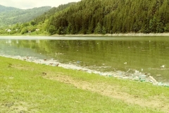 20190526_133047_Film2-Copy