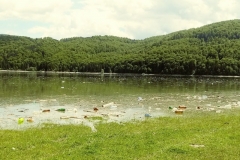 20190526_133204_Film2-Copy