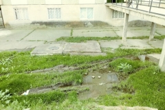 izvoras