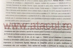 10 (Copy)