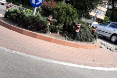 103780489_598010231120892_6531685764160843147_n