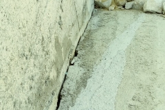 20190821_110424_Film2-Copy