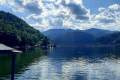 238136818_255198639762303_7858712551169016878_n