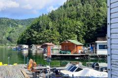 239093056_528569845067627_8600629489460843482_n