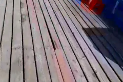 vlcsnap-2021-08-20-08h04m29s642