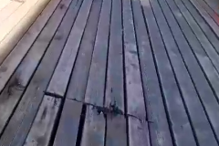 vlcsnap-2021-08-20-08h05m25s463