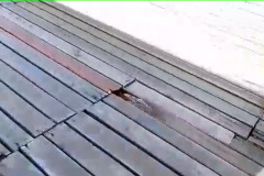 vlcsnap-2021-08-20-08h06m09s553