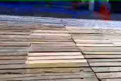 vlcsnap-2021-08-20-08h07m53s929