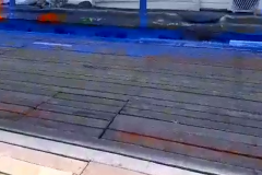 vlcsnap-2021-08-20-08h08m03s975