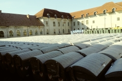 20191014_103729_Film2