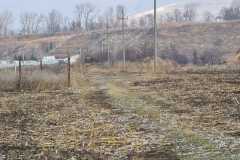 IMG-20211207-WA0010