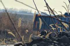 IMG-20211207-WA0013
