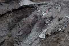 IMG-20211207-WA0018