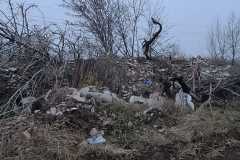 IMG-20211207-WA0019