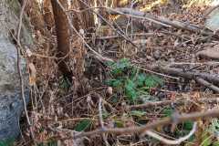 IMG-20211207-WA0040