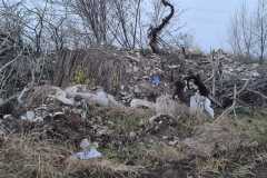 IMG-20211207-WA0049
