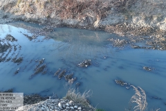 127445977_162396292265069_7575766993300404706_n