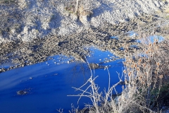 127458154_382894939802717_8286180045359248431_n