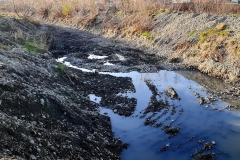 127459701_370679450665168_6040441080034132216_n